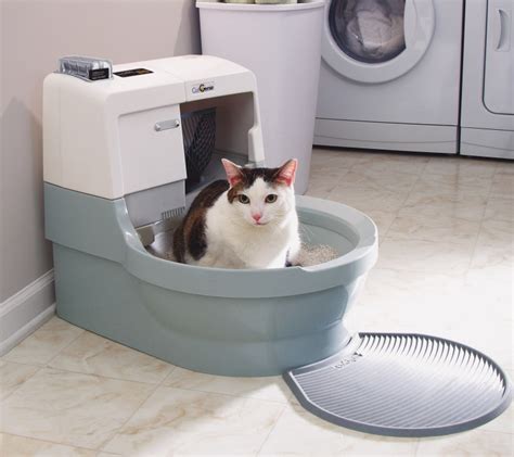 least scary automatic litter box